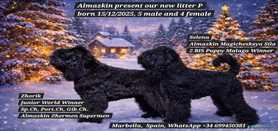 Imagen de galería {{count}}