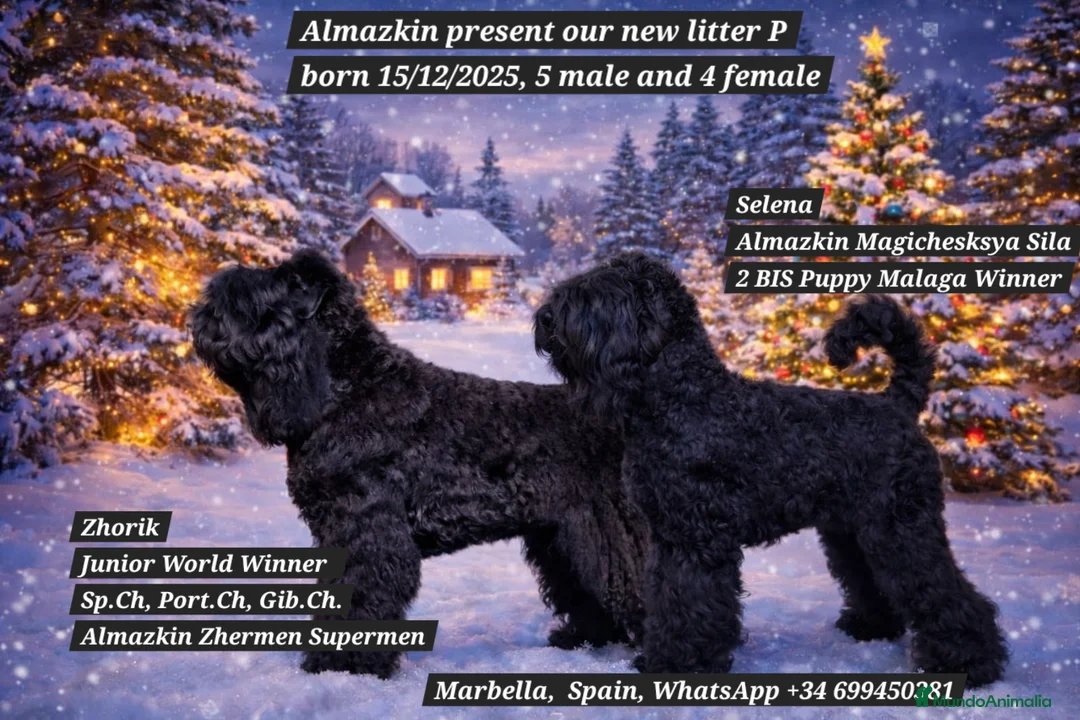 Imagen de galería {{count}}