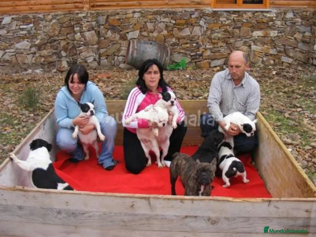 Imagen de galería {{count}}