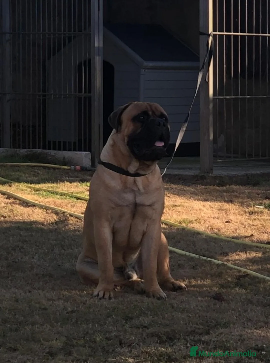 Imagen de galería {{count}}