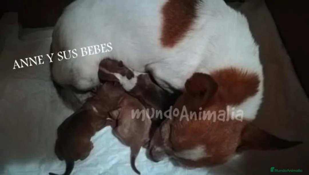 Imagen de galería {{count}}