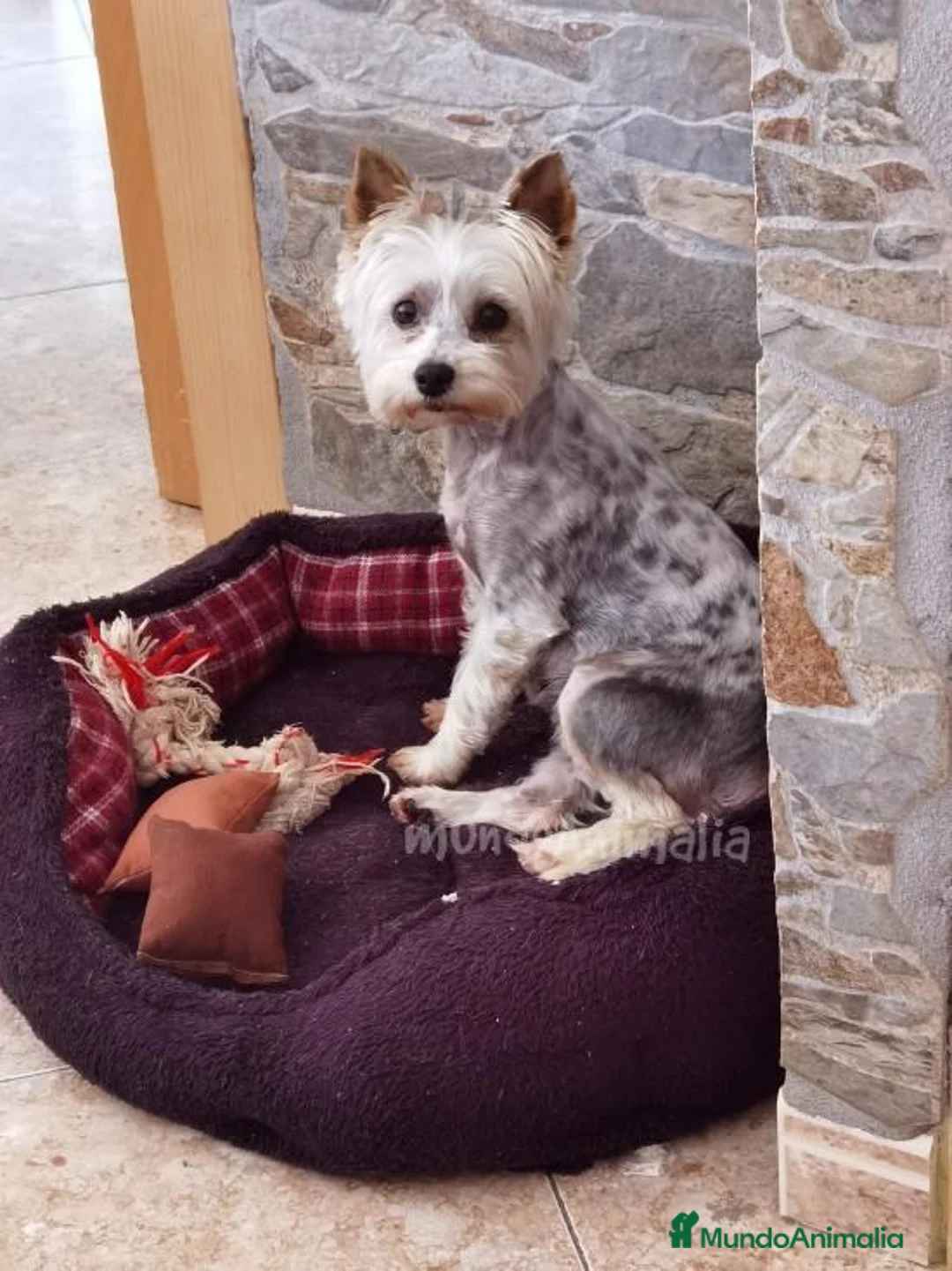 Imagen de galería {{count}}