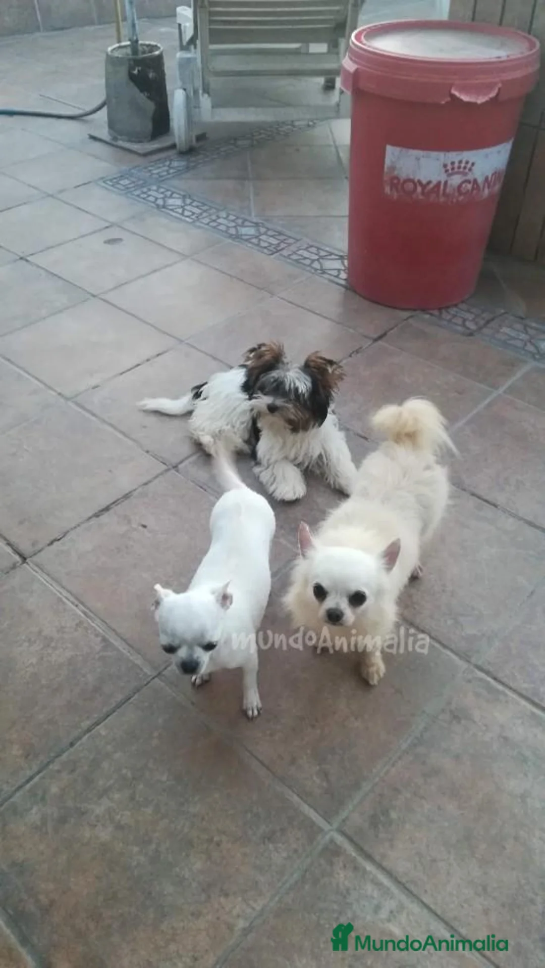 Imagen de galería {{count}}