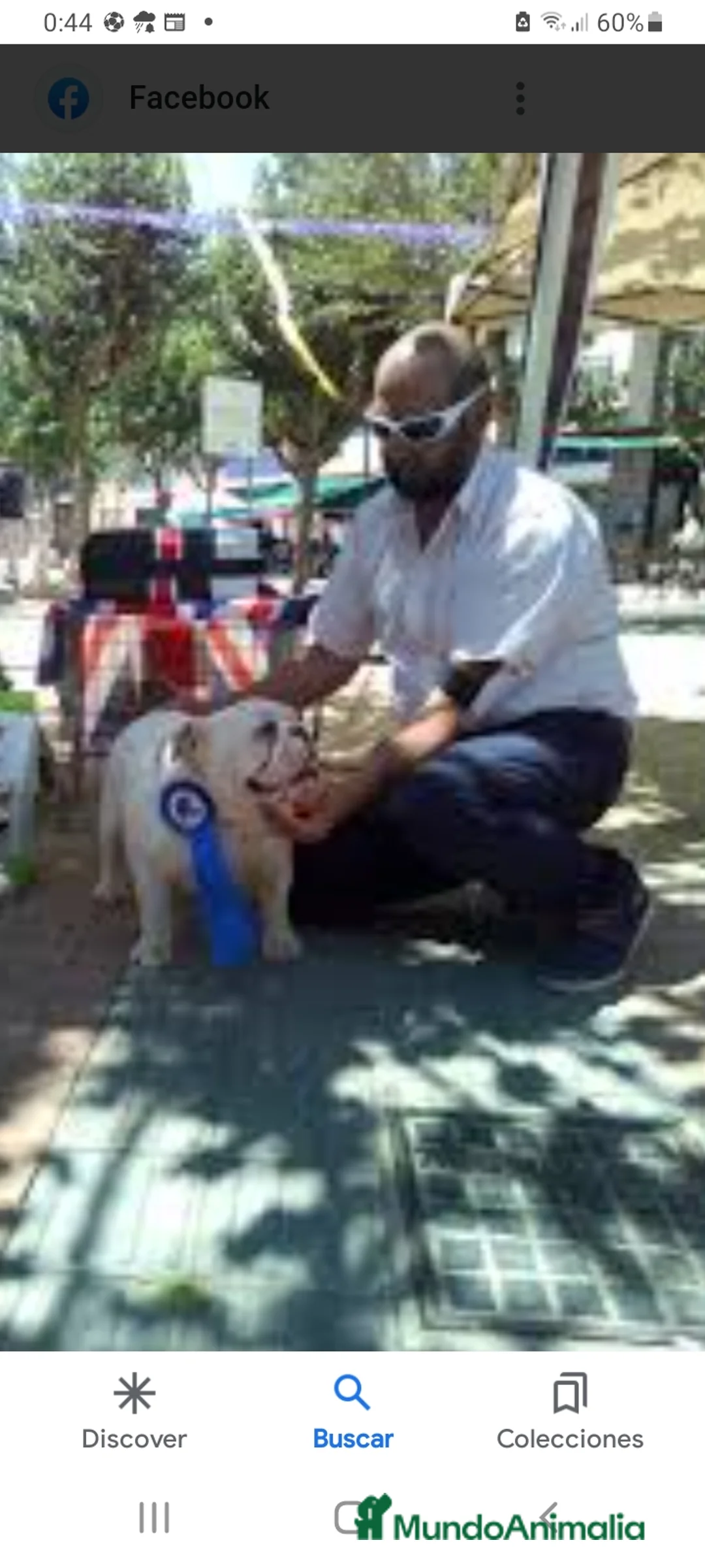 Imagen de galería {{count}}