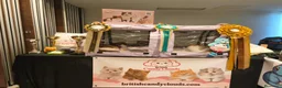 Británico de Pelo Corto gatos en venta: Próximas camadas British Shorthair | Candy Clouds - Anuncio 6