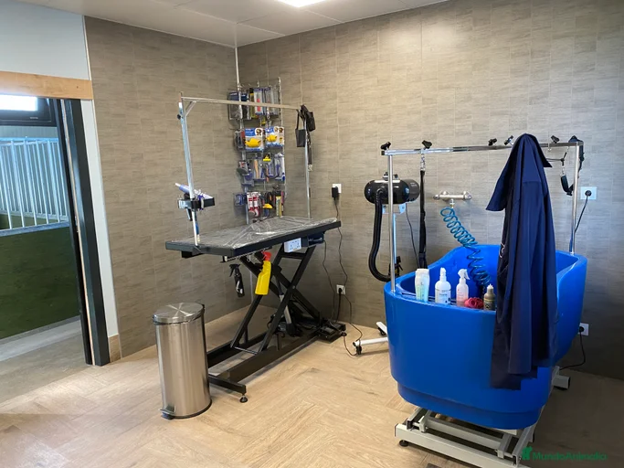 Imagen de galería {{count}}