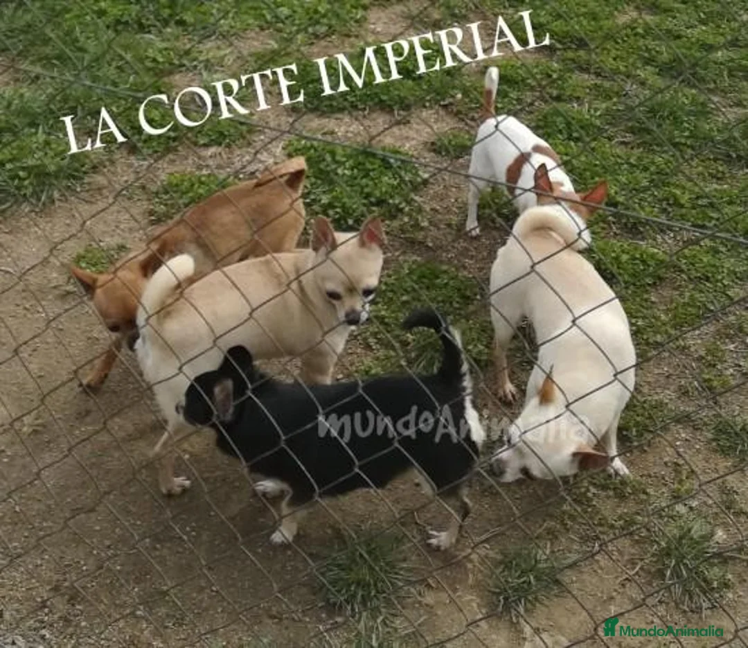 Imagen de galería {{count}}