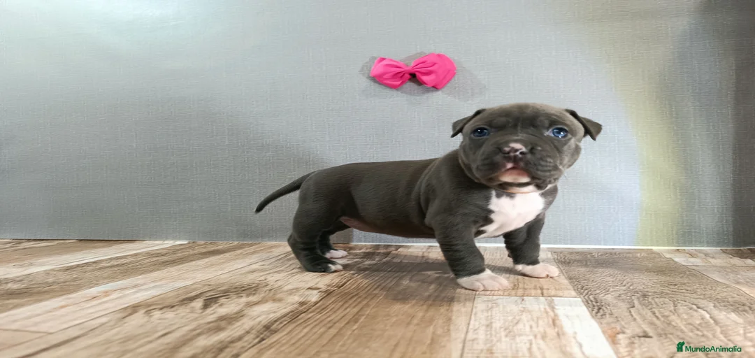 Imagen de galería {{count}}