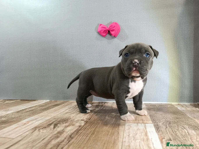 Imagen de galería {{count}}