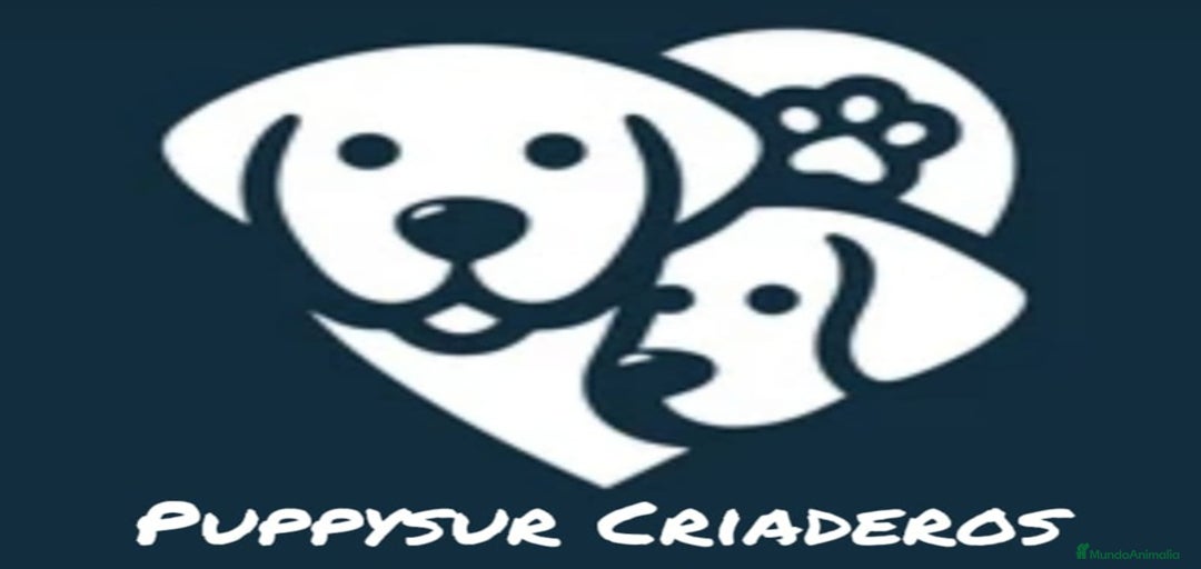 Imagen de galería {{count}}