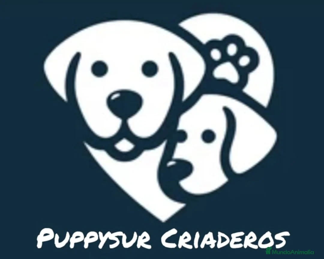 Imagen de galería {{count}}