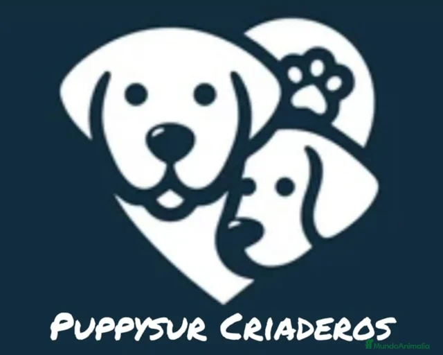 Imagen de galería {{count}}