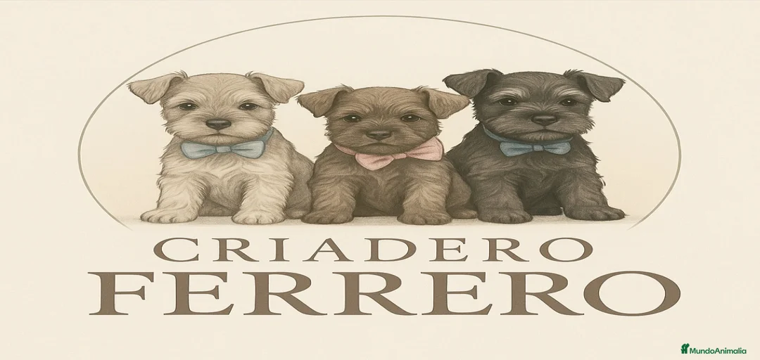 Imagen de galería {{count}}