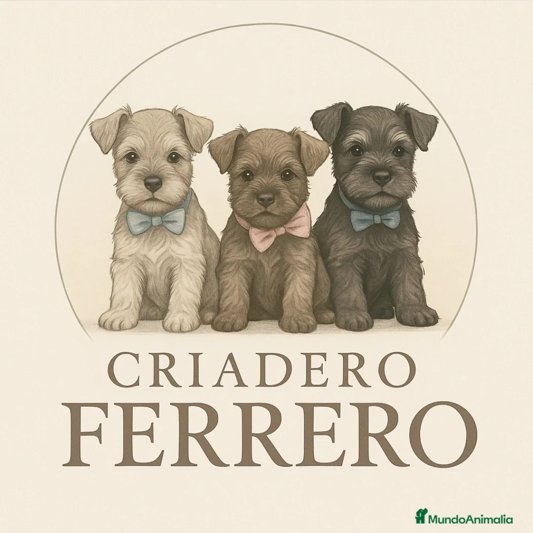 Imagen de galería {{count}}