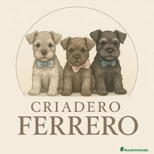 Imagen de galería {{count}}