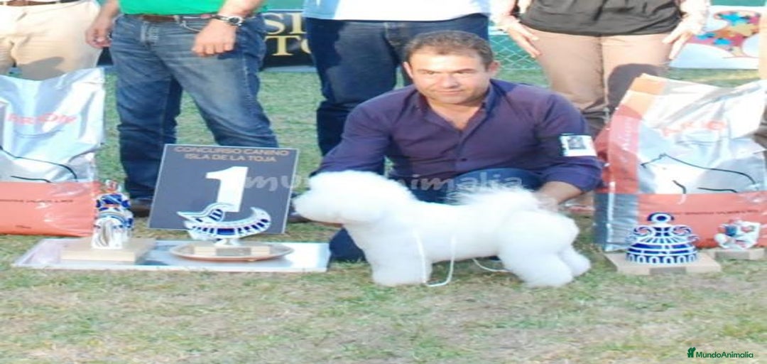 Imagen de galería {{count}}