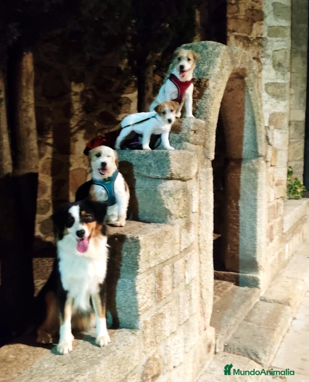 Imagen de galería {{count}}