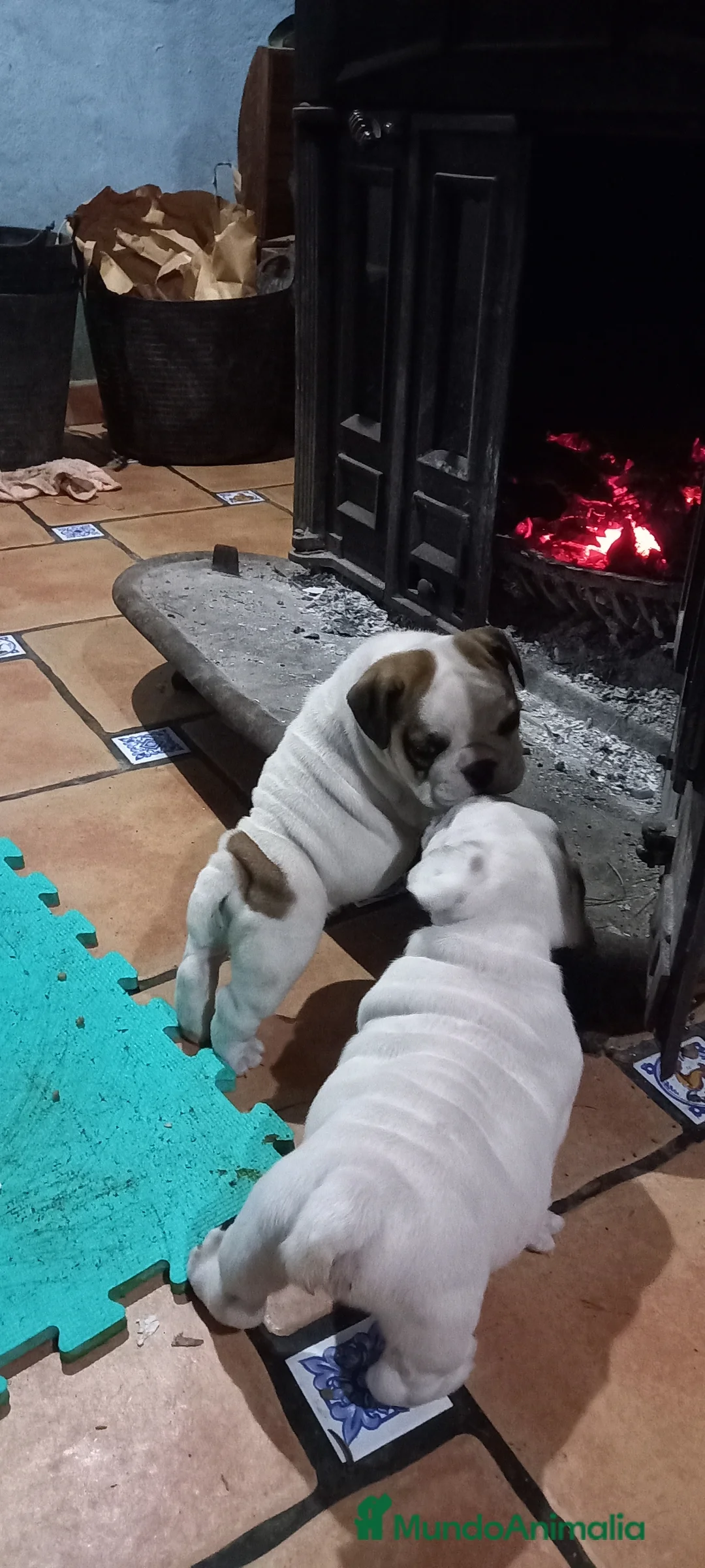 Imagen de galería {{count}}