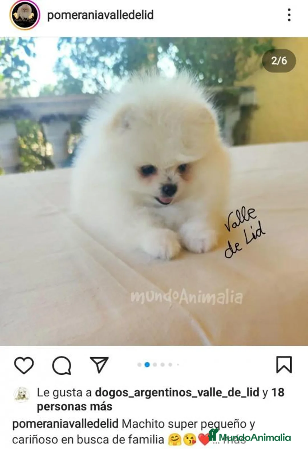 Imagen de galería {{count}}