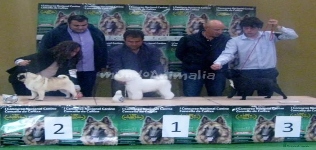 Imagen de galería {{count}}