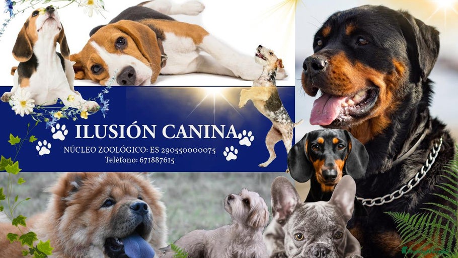 Imagen de galería {{count}}