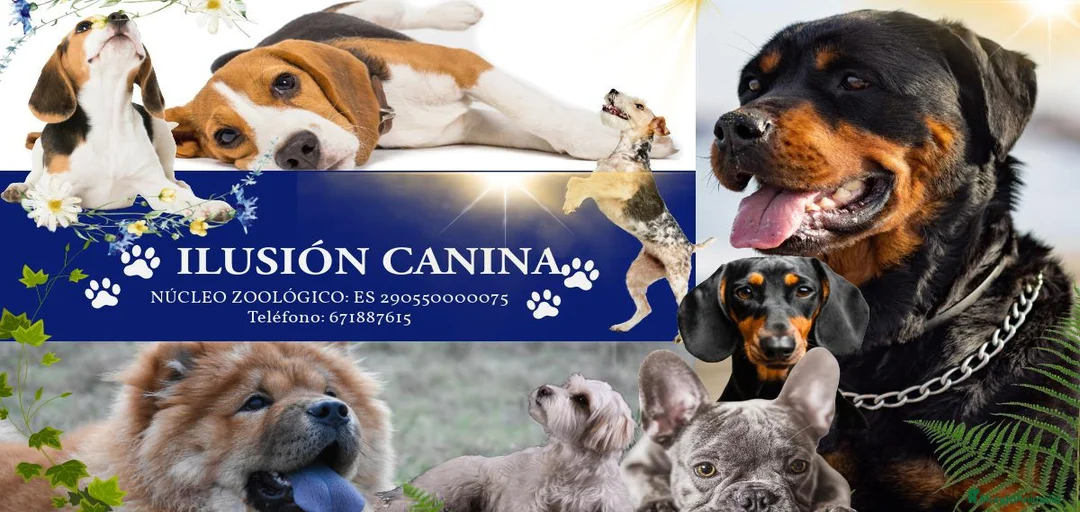 Imagen de galería {{count}}