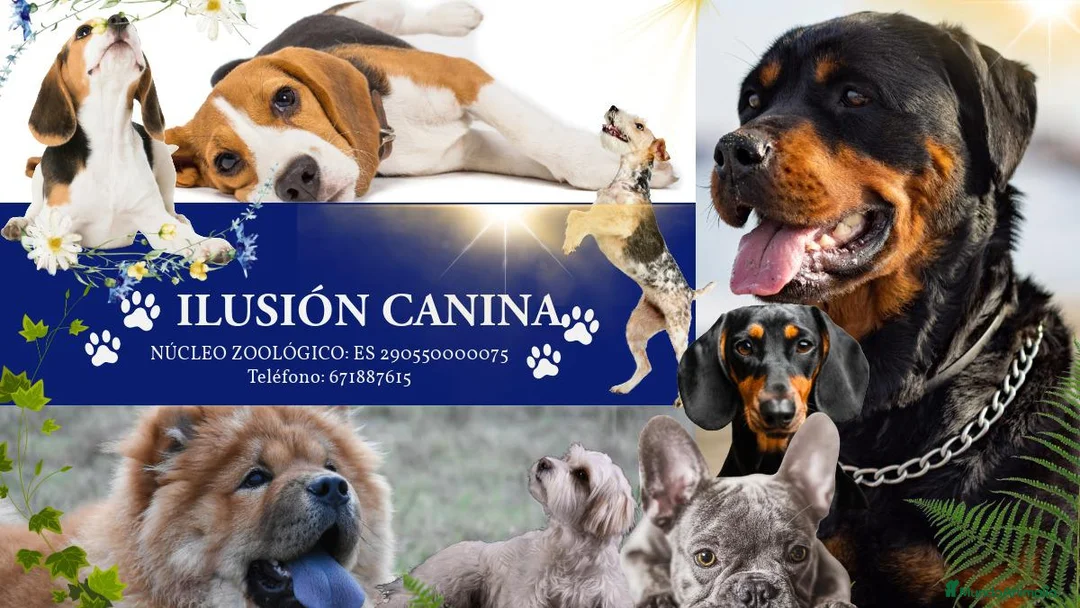 Imagen de galería {{count}}