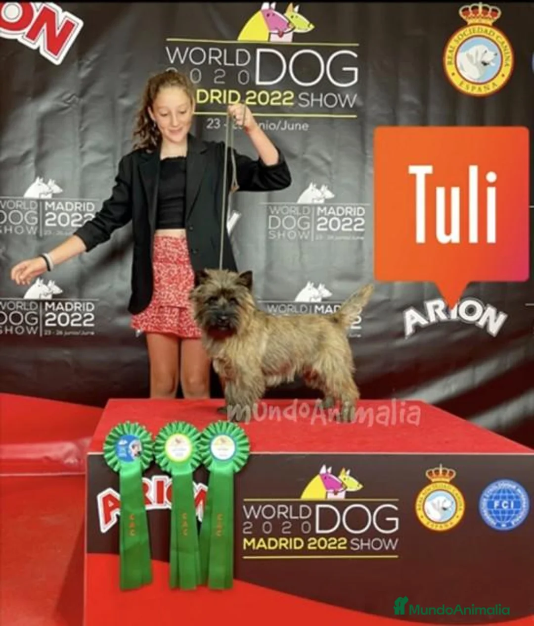 Imagen de galería {{count}}