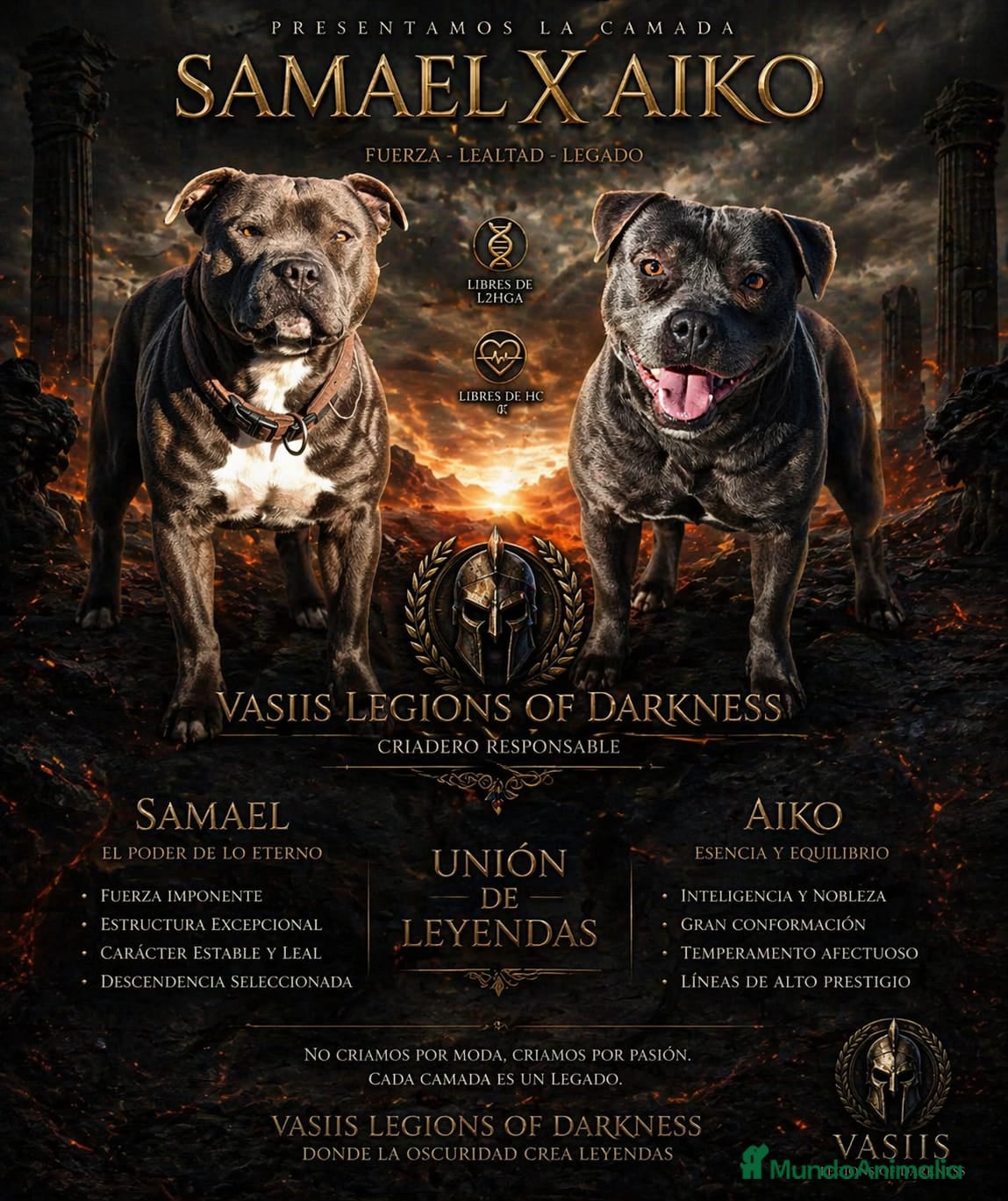 Staffordshire Bull Terrier perros Staffordshire Bull Terrier  - Anuncio 1