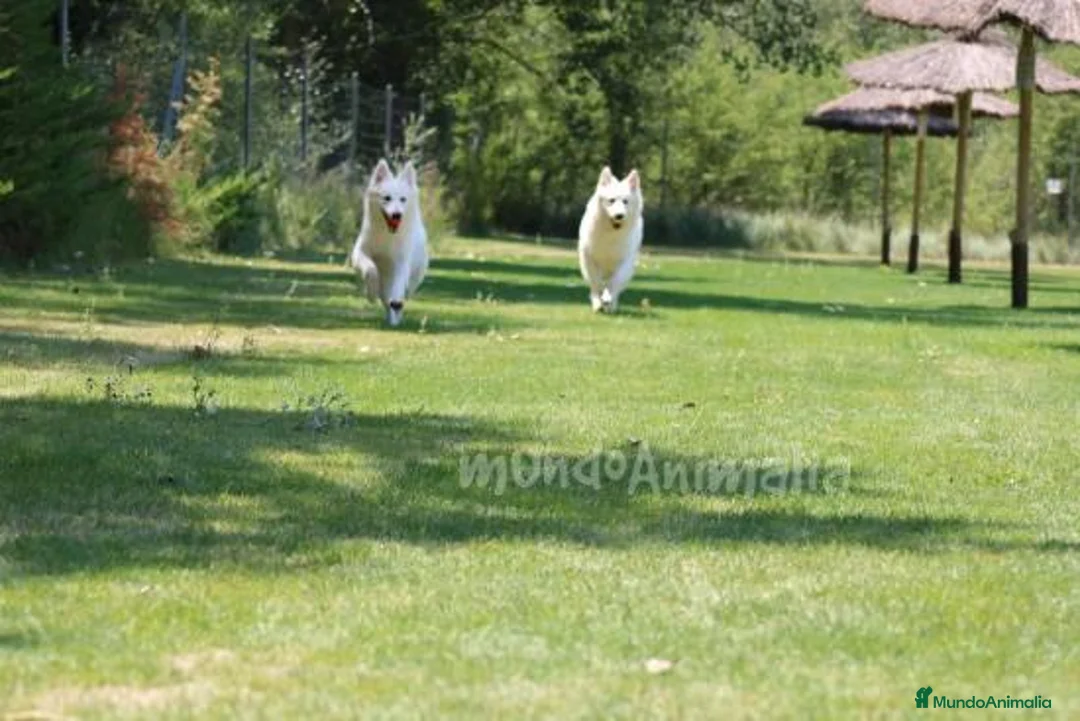 Imagen de galería {{count}}