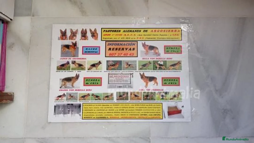 Imagen de galería {{count}}