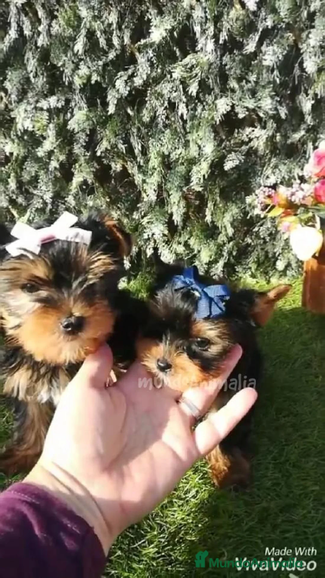 Imagen de galería {{count}}