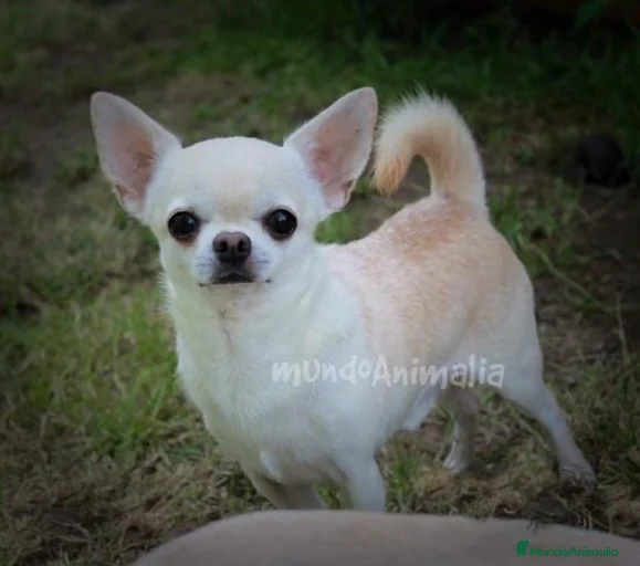 Imagen de galería {{count}}