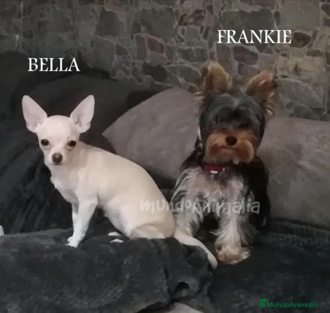 Imagen de galería {{count}}