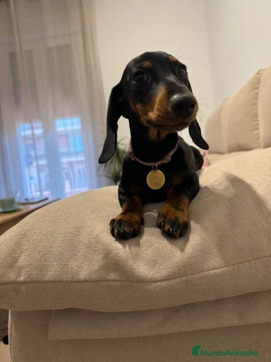 Imagen de galería {{count}}