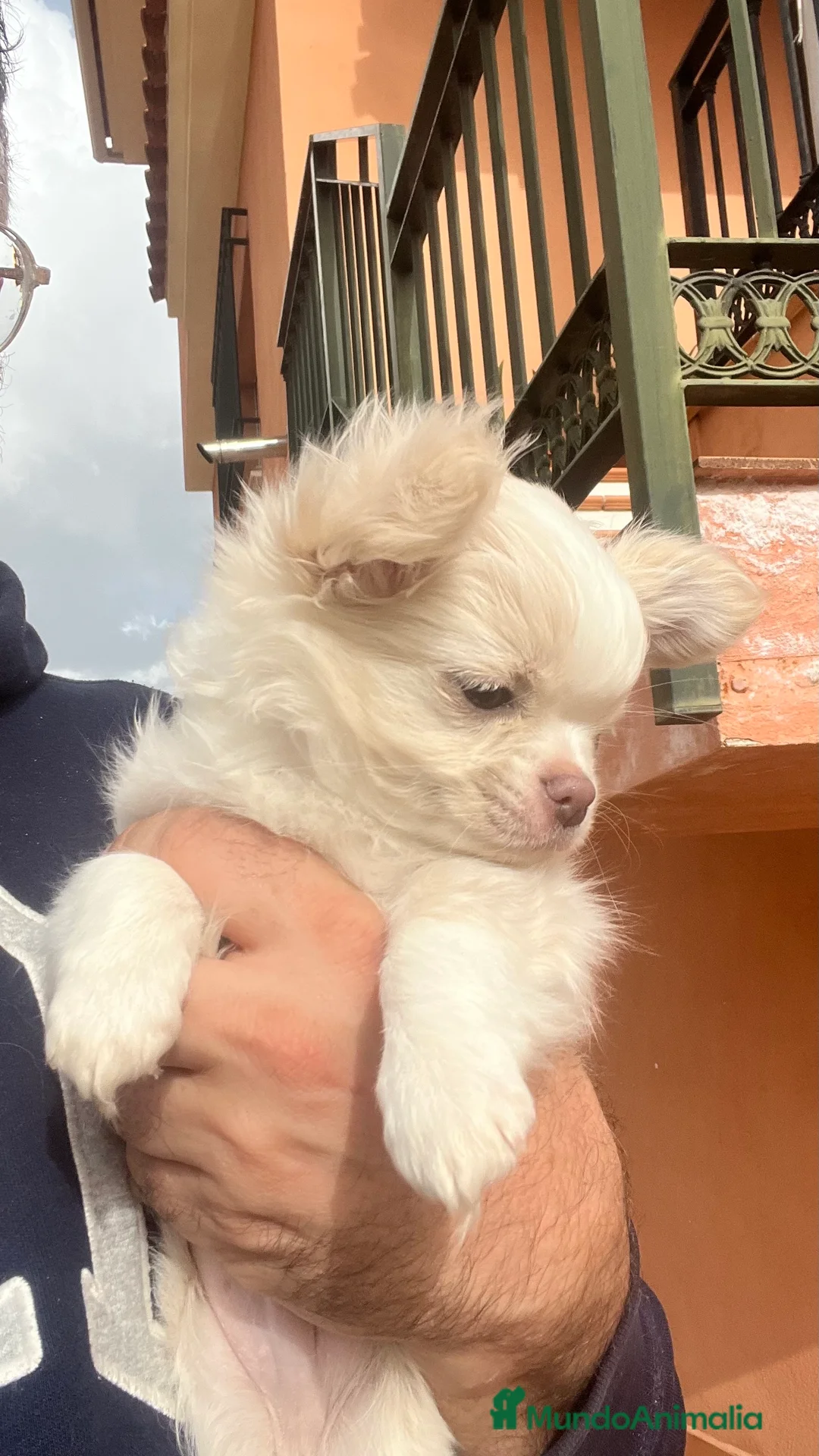 Imagen de galería {{count}}