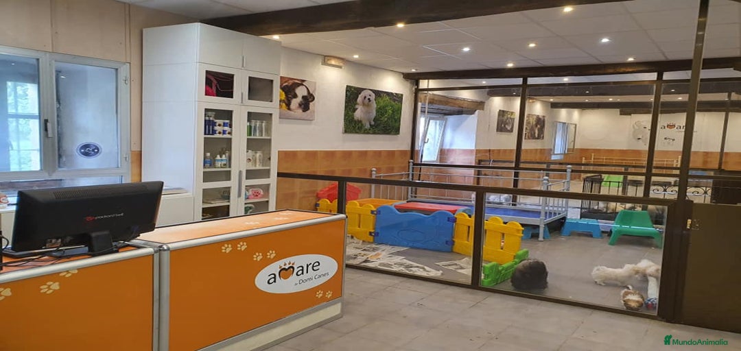 Imagen de galería {{count}}