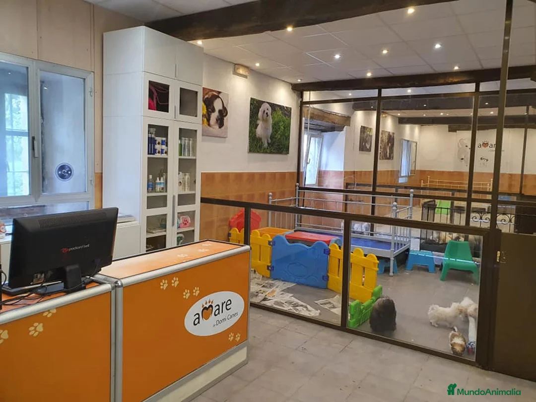 Imagen de galería {{count}}