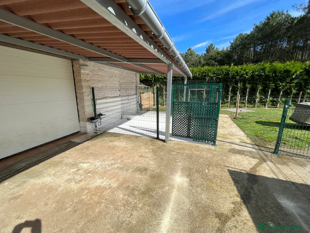 Imagen de galería {{count}}