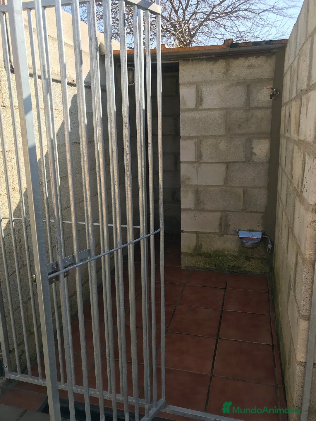 Imagen de galería {{count}}