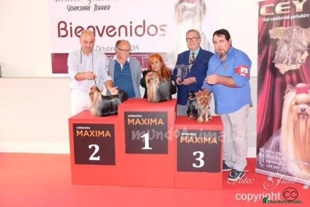 Imagen de galería {{count}}