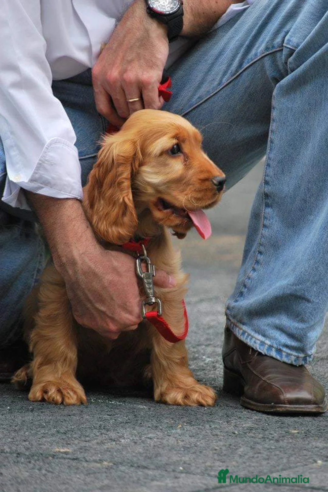 Imagen de galería {{count}}