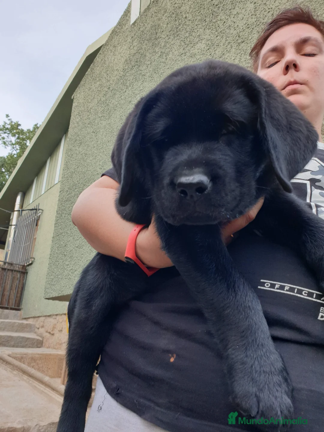 Imagen de galería {{count}}