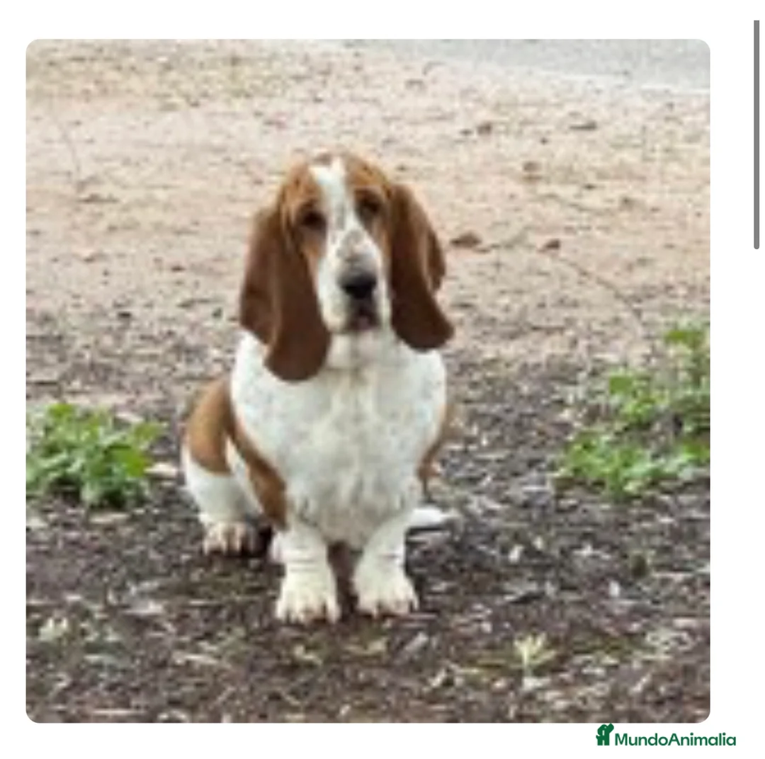 Imagen de galería {{count}}