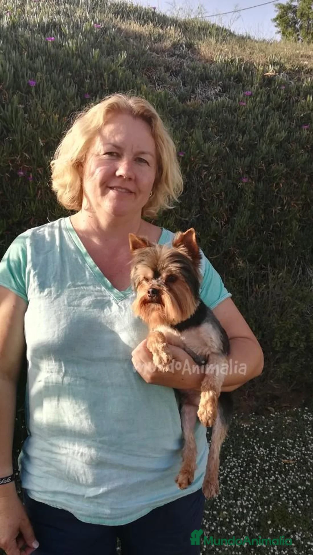 Imagen de galería {{count}}