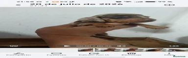 Teckel 4