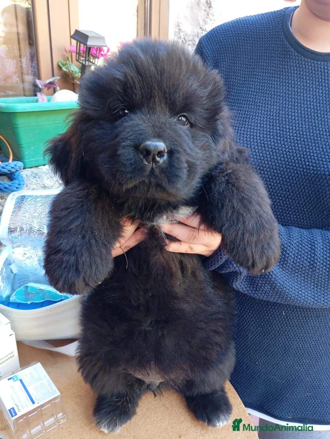 Imagen de galería {{count}}