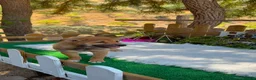 Shiba Inu perros en venta: Shiba Inu Hembras disponibles  - Anuncio 2
