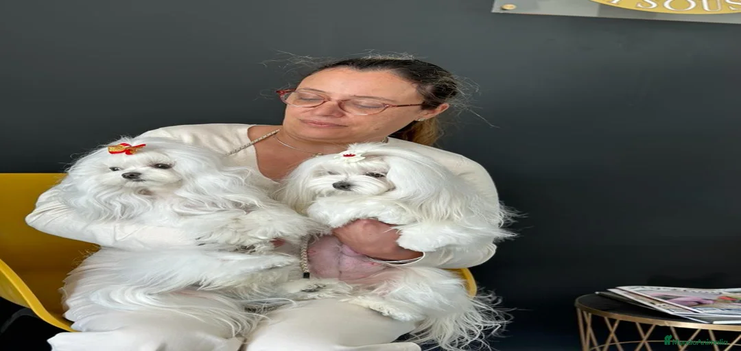 Imagen de galería {{count}}