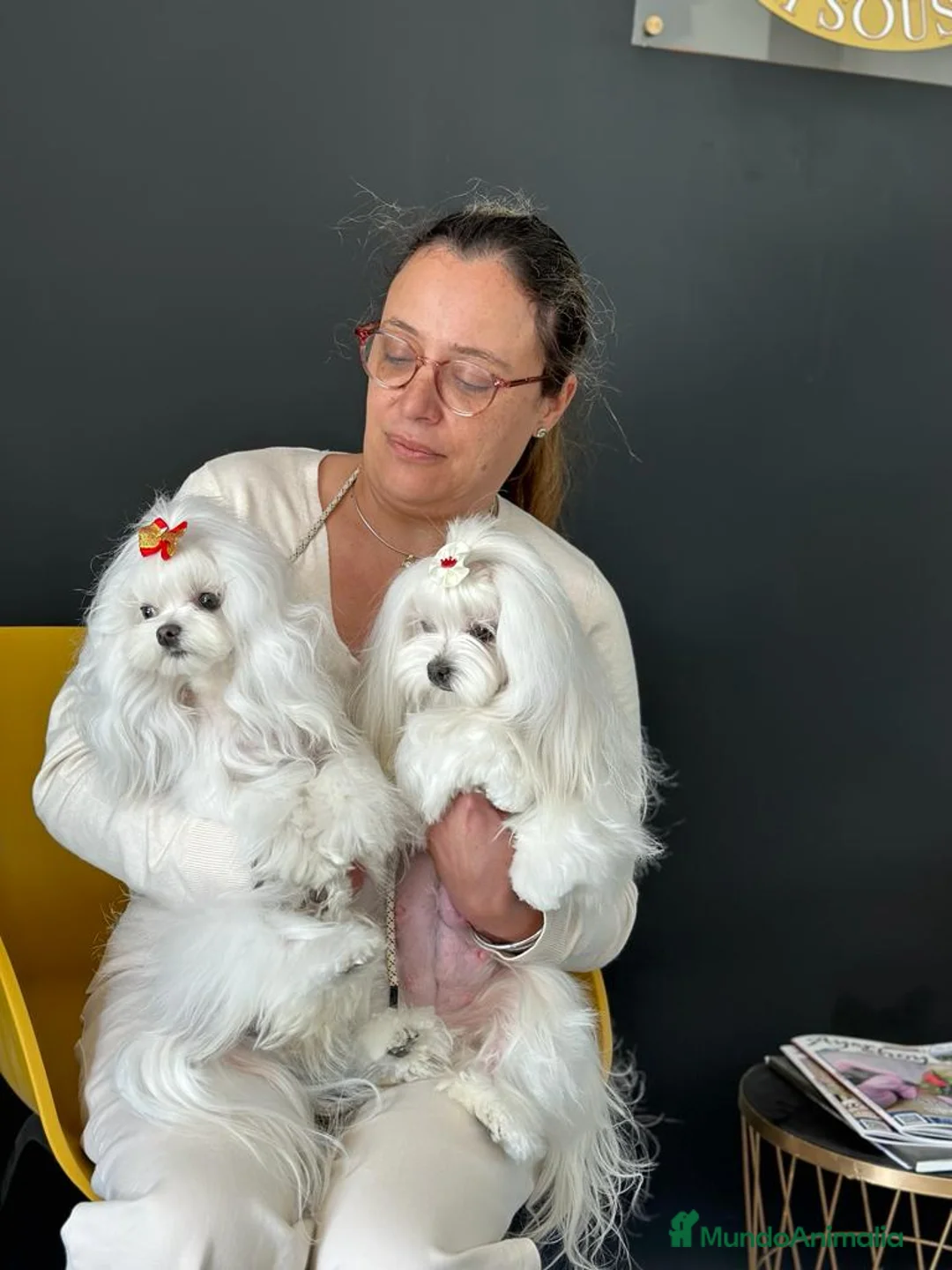 Imagen de galería {{count}}